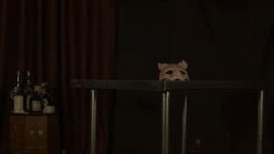 Piggy Palace — foto 5