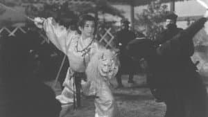 名君剣の舞 — foto 1
