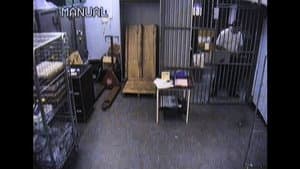 Heist: The Northern Bank Robbery — foto 2