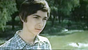 Nicuşor din tribul TV — foto 1