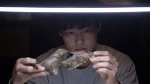 リング・ワンダリング — foto 5
