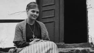 Tine — foto 2