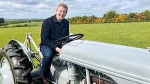 Tractor Wars: Ferguson vs Ford — foto 3