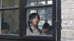 青銅葵花 — foto 1