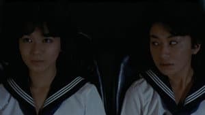 セーラー服 百合族2 — foto 1