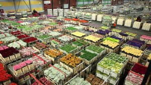 Conscious Capitalism — foto 2