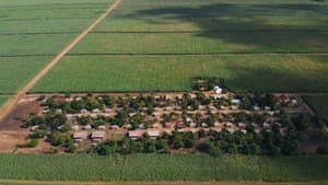 Mal de caña — foto 2