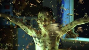 Moth — foto 1