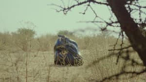 Historia de una Bolsa de Basura — foto 2