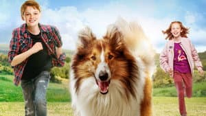 Lassie Vuelve a Casa — foto 5