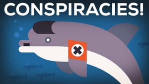 Episodio 15