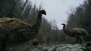 Le mystère des oiseaux géants — foto 1