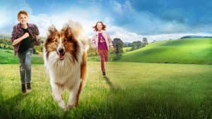 Lassie Vuelve a Casa — foto 10
