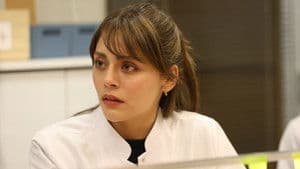 Episodio 1
