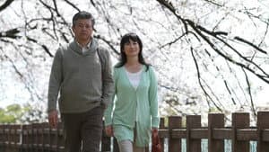 RAILWAYS 愛を伝えられない大人たちへ — foto 1