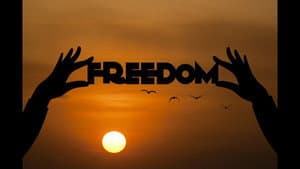 Just Be Free? — foto 1