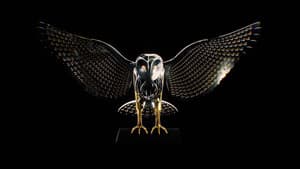La découverte de la Chouette d'or — foto 4