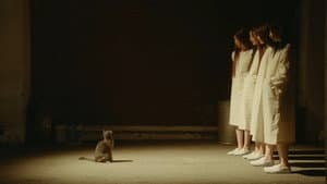 OMG — foto 3