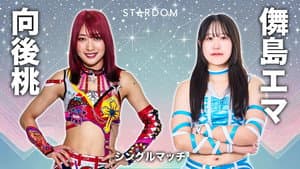 第15回 ゴッデス・オブ・スターダム ～タッグリーグ開幕戦～ in KORAKUEN — foto 7