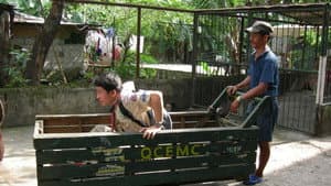 Luwalhating Pambansa — foto 1