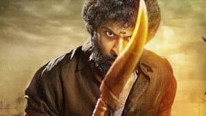 புலிக்குத்தி பாண்டி — foto 1