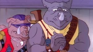 No Más Splinter