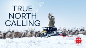 True North Calling — foto 4