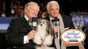 The National Dog Show — foto 1