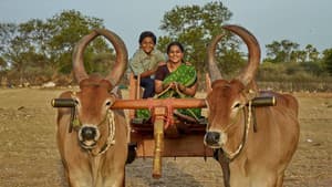 என்றாவது ஒரு நாள் — foto 4