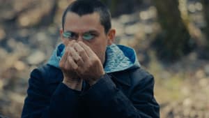 Το Οτιδήποτε — foto 3