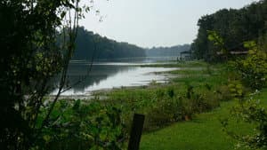 Rivers and Life — foto 1