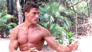 Kickboxer — foto 10