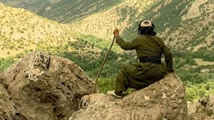 کوێستانی سپی — foto 3