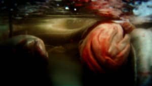 Leviathan — foto 7