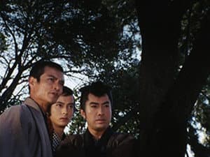 Episodio 11