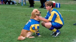 Air Bud 3: Los cachorros de Buddy — foto 1