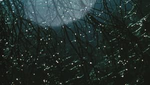 Compline — foto 5