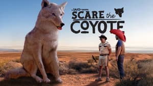 Scare the Coyote — foto 1