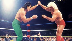 NWA Chi-Town Rumble — foto 2