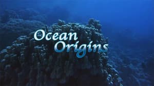 Origine océan - 4 milliards d'années sous les mers — foto 1