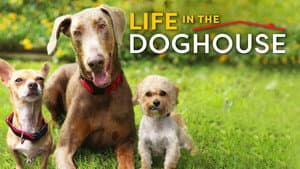 Life in the Doghouse — foto 1