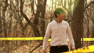 로드킬 — foto 1