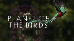 Planet of the Birds — foto 1