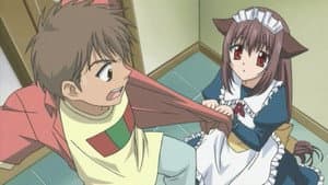 Episodio 5