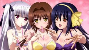 Absolute Duo — foto 5