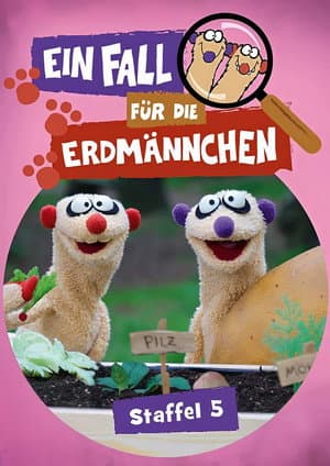 Temporada 5