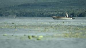 Var är vargen? — foto 1