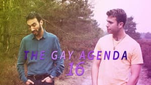 The Gay Agenda 16 — foto 1