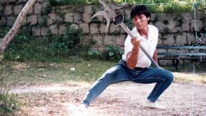 Ninja Operation - Knight and Warrior — foto 4