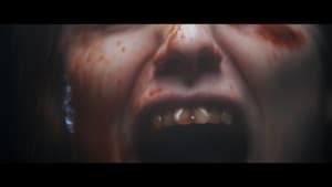 Rodentia — foto 2